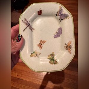 Anthropologie Butterfly and Insect Plate with Green Trim. See pics for dime